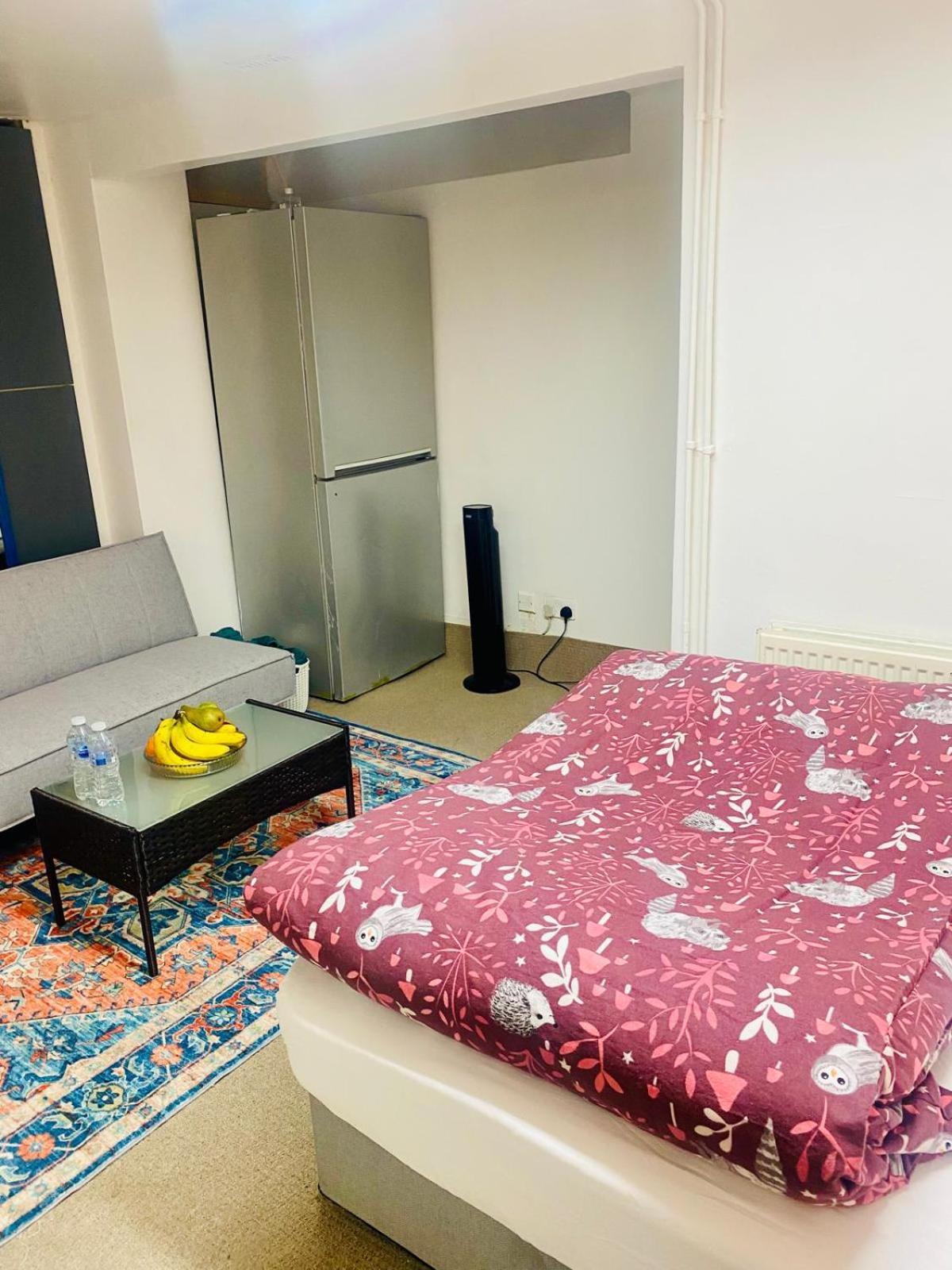 Cozy Studio Opposite Chelsea Stadium London Exterior photo